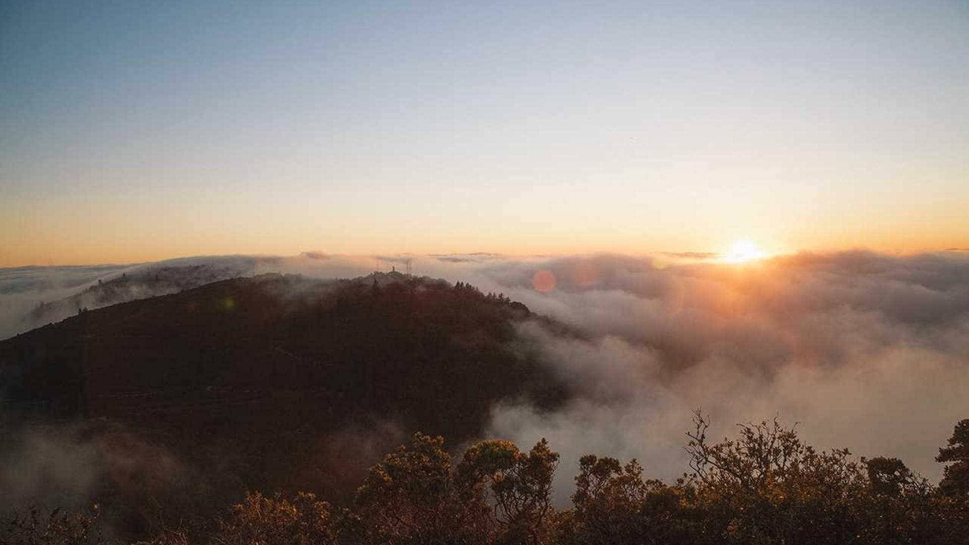 Contact Dazzling Pools