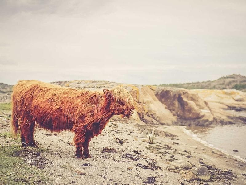 Garden Pavilion view 1
