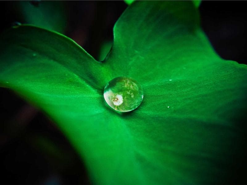 Horizon House view 2