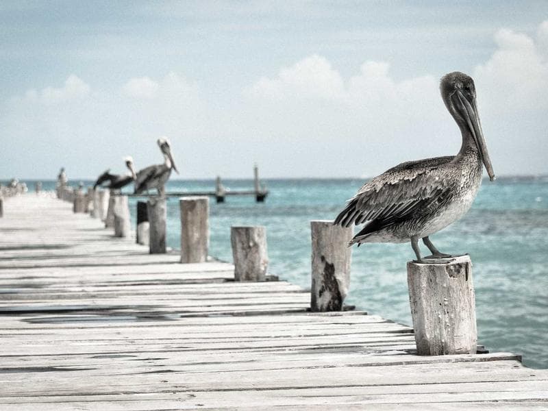 Horizon House view 4