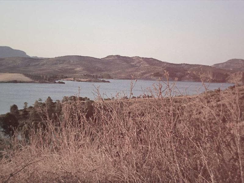 Estate Riviera view 5