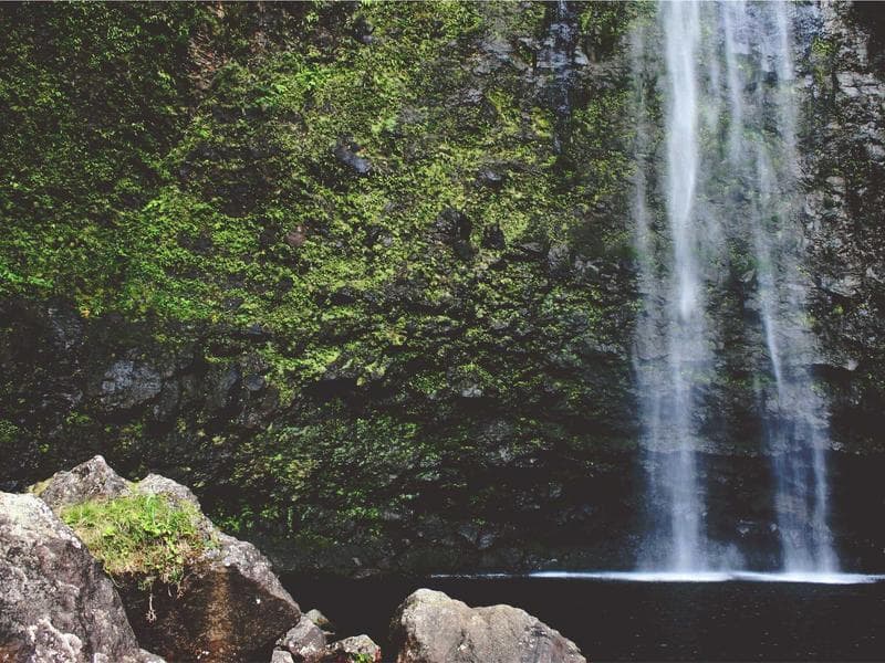 Estate Riviera view 6