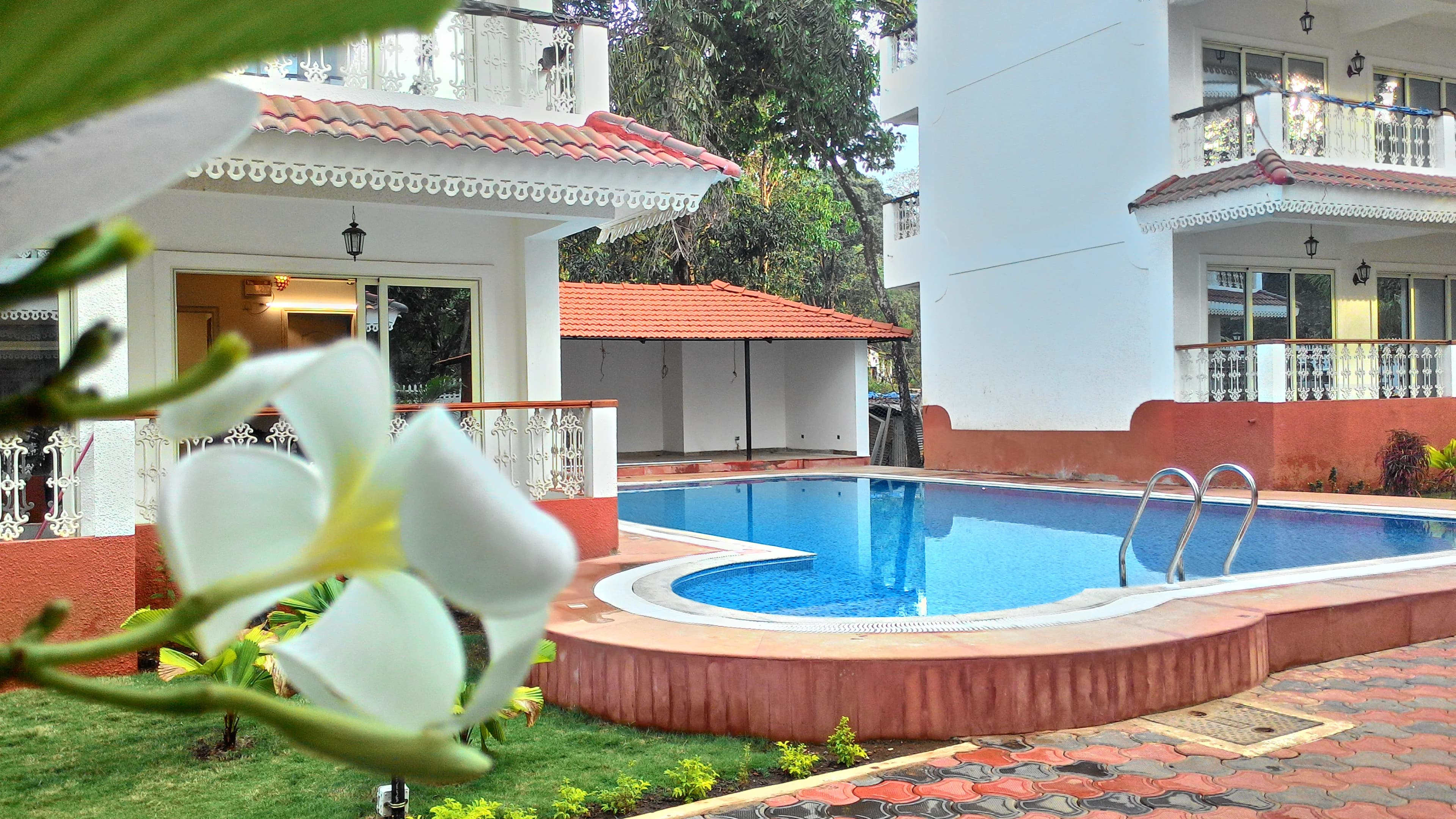Welcoming luxury pool at a Dazzling Pools residence