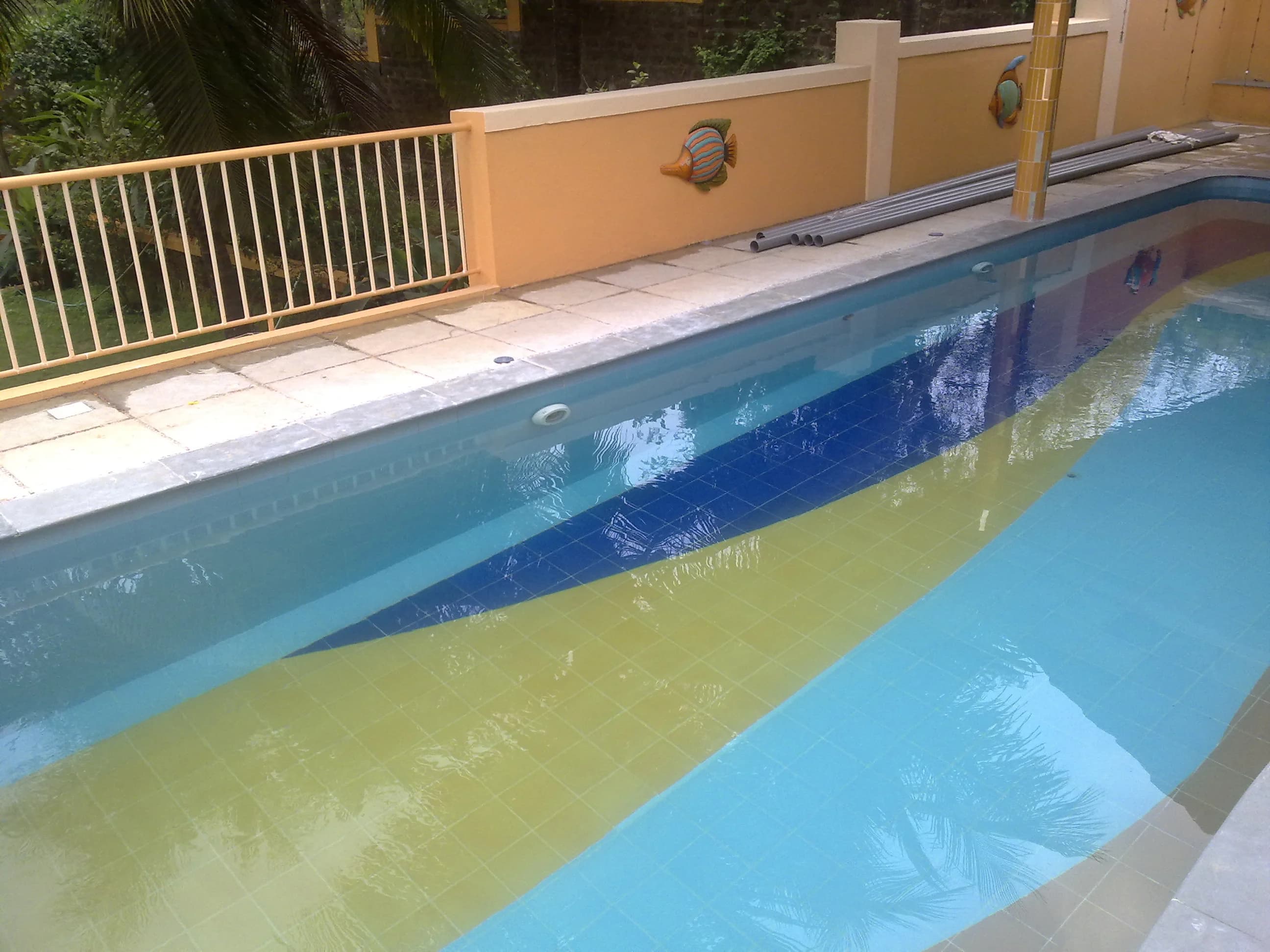 Dazzling Pools project