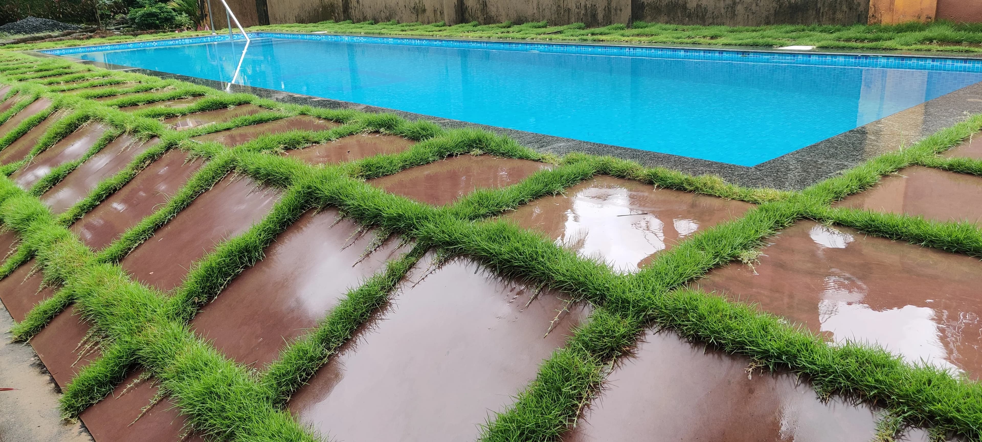 Dazzling Pools project