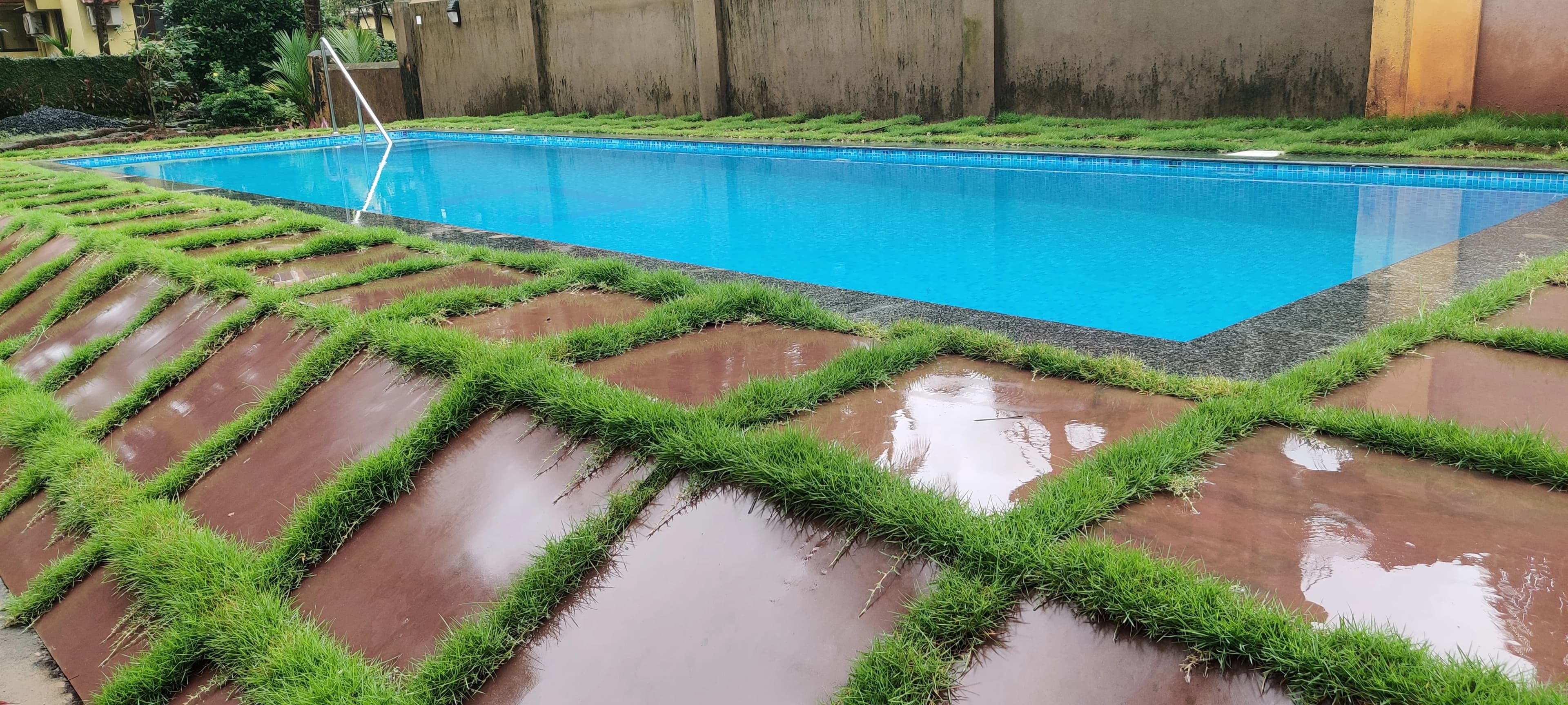 Dazzling Pools project