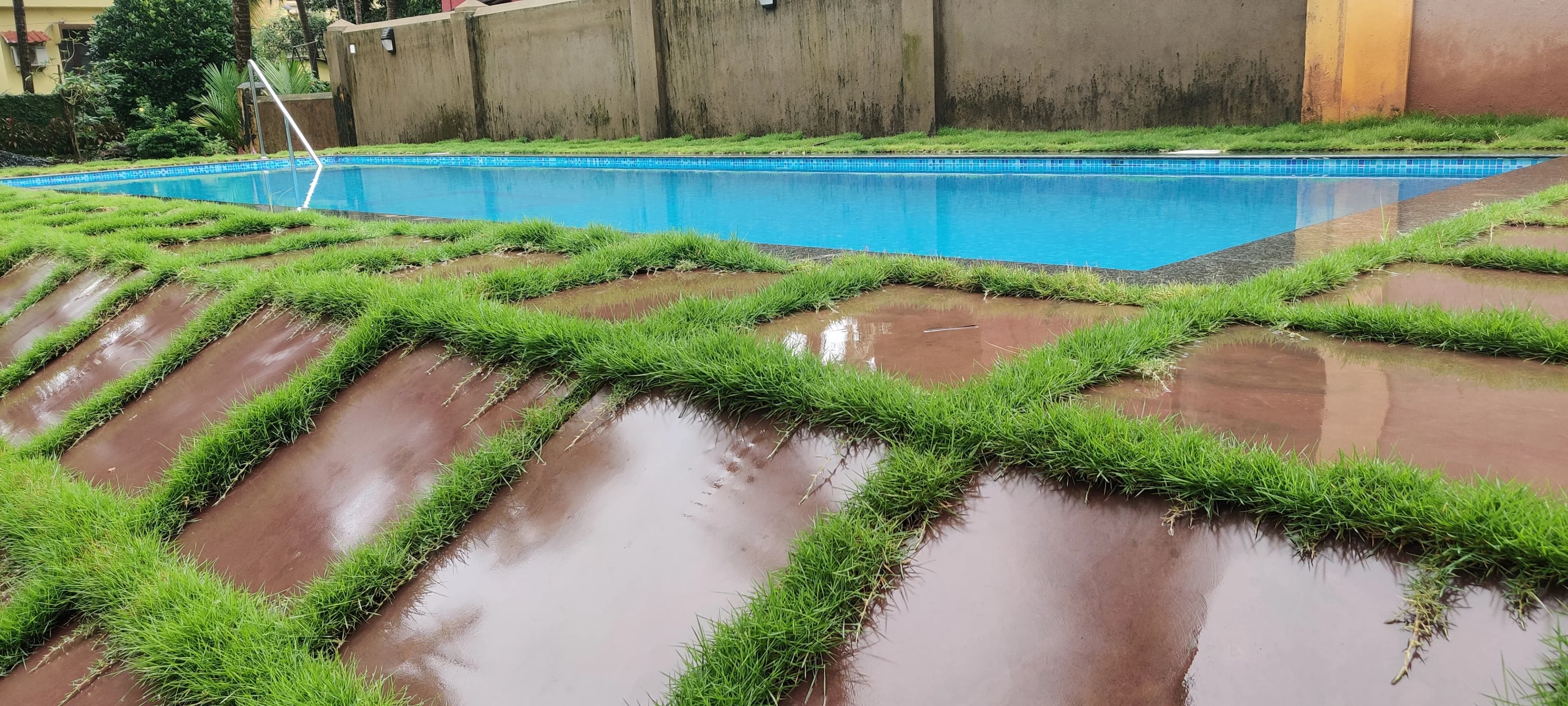 Dazzling Pools project