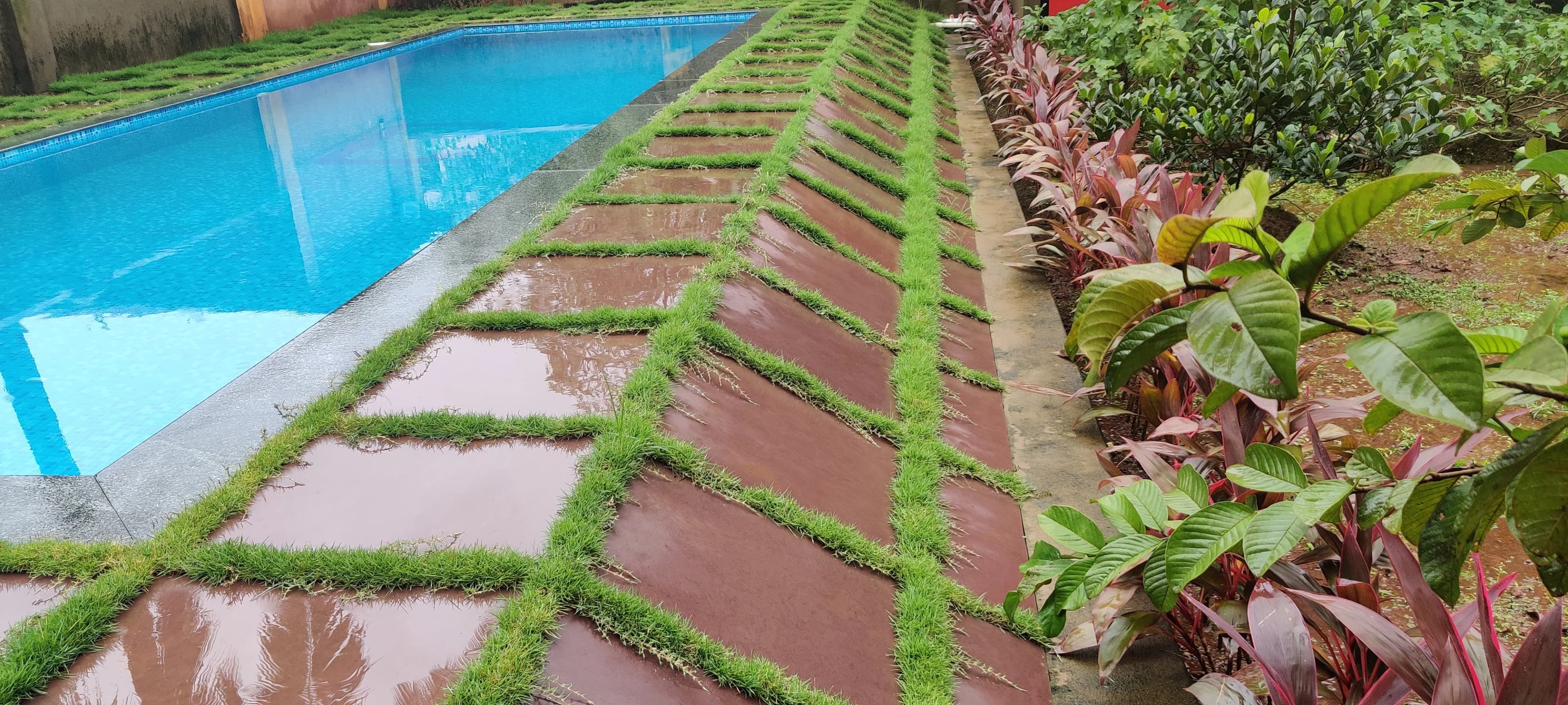 Dazzling Pools project