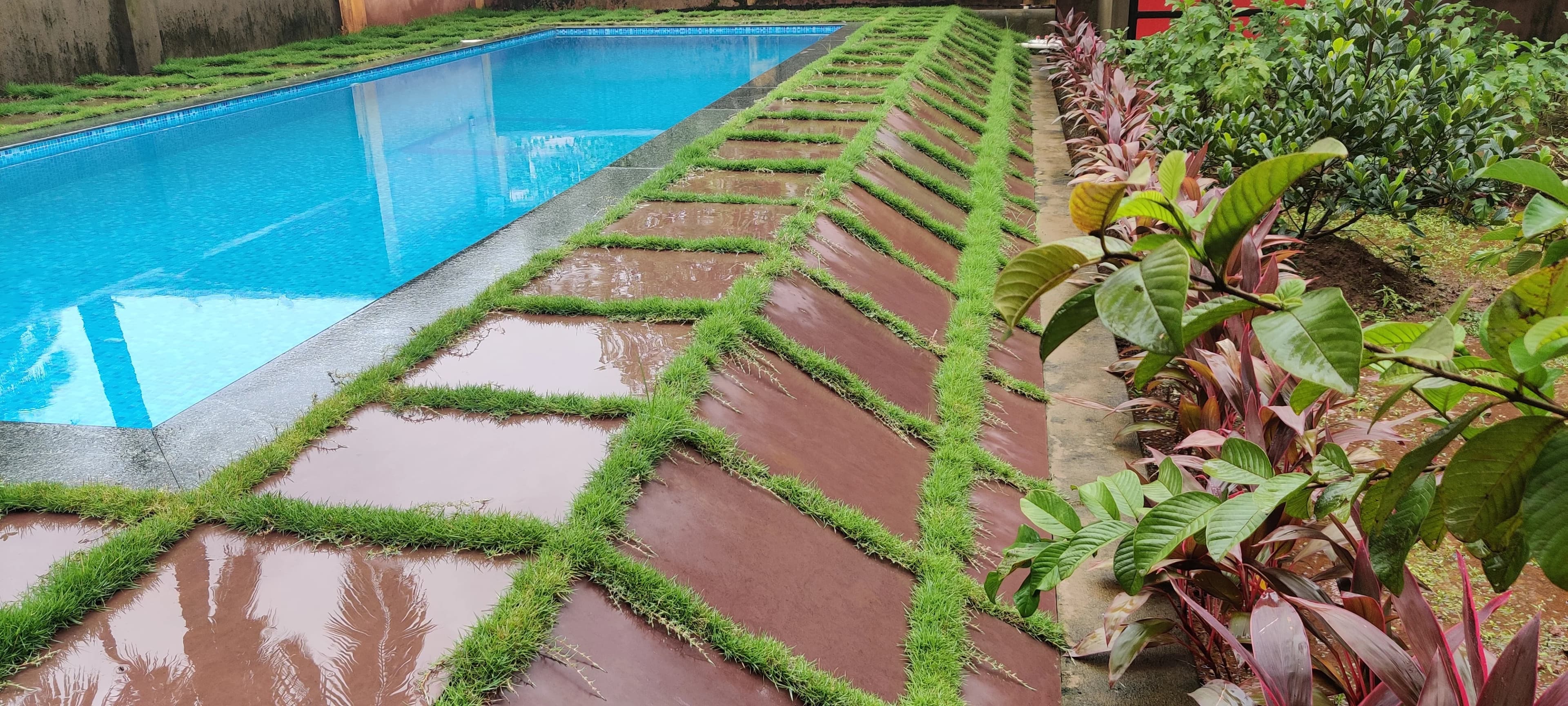 Dazzling Pools project