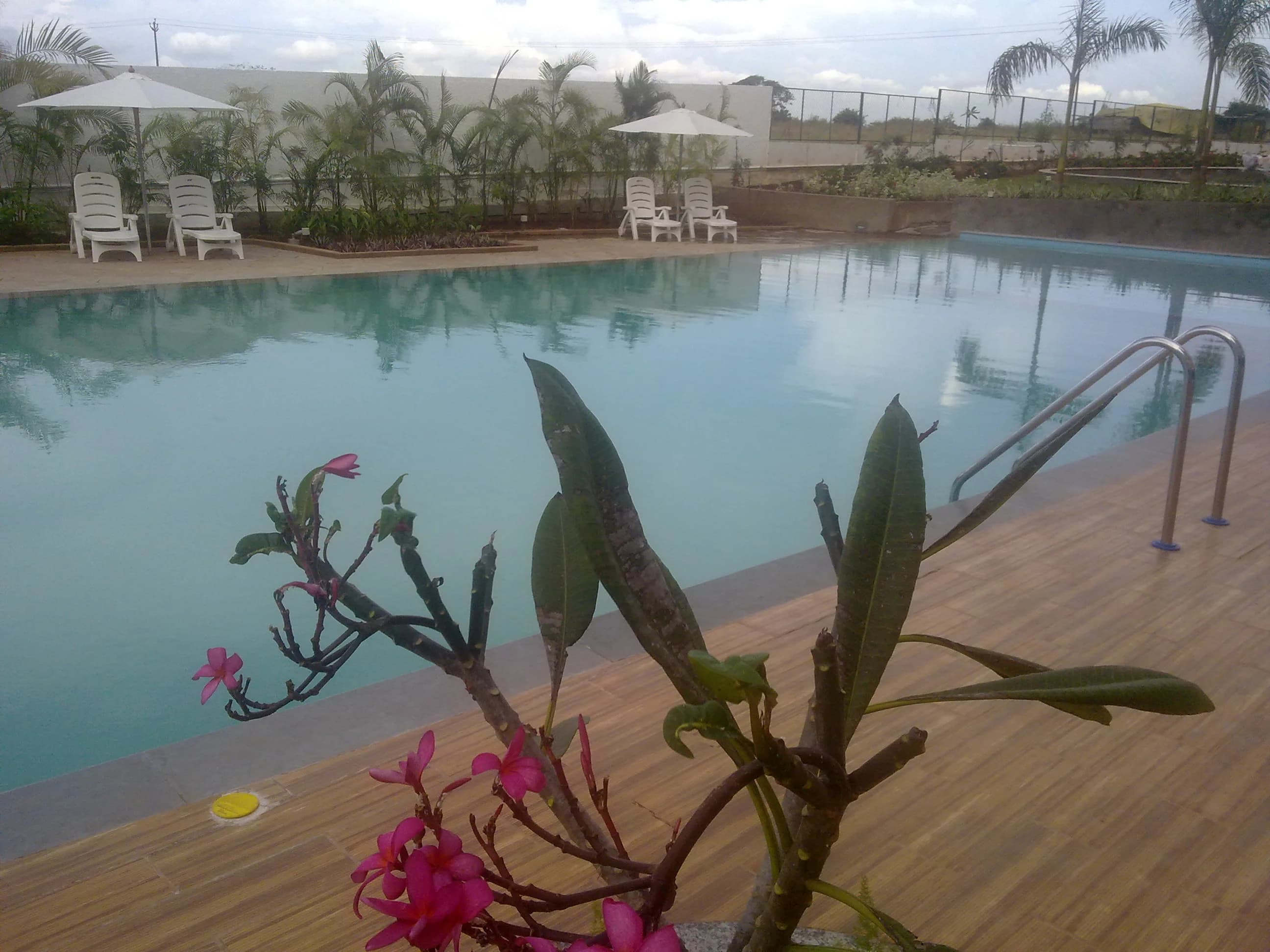Dazzling Pools project